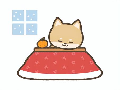 こたつに入ってくつろぐ柴犬 柴犬,犬,いぬ,コタツ,こたつ,年賀状,正月,冬休み,冬,みかんのイラスト素材