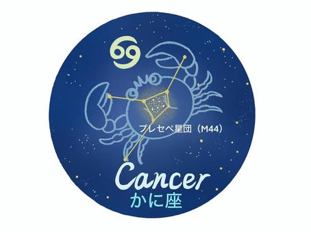 かに座 CANCER 星座線 星座絵 かに座 CANCER 星座線 星座絵 かに座,cancer,12星座,星座線,星座絵,春の星座,恒星,プレセペ星団,星空,星座マークのイラスト素材