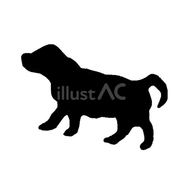 犬。。 犬,シルエット,動物のイラスト素材