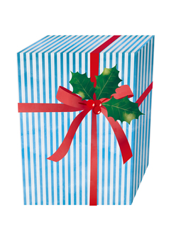 クリスマスのプレゼントボックス2 クリスマスのプレゼントボックス2 プレゼントボックス,クリスマス,リボン,柊,ラッピング,飾り,ストライプ,水色,記念日,赤のイラスト素材