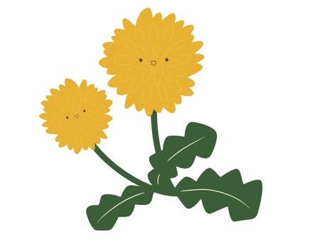 シンプルな顔付きタンポポ タンポポ,シンプル,花のイラスト素材