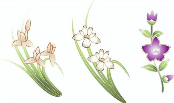 3朵花, 桔梗, 苍白, 黄绿色, JPG, PNG 和 AI