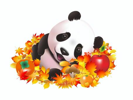 パンダ パンダ 秋,白黒,紅葉のイラスト素材