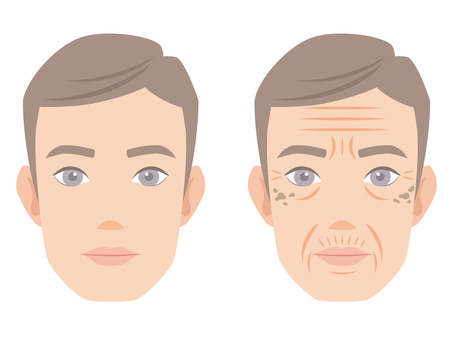 男性の顔_シワありとシワなし 顔,男性,シワ,シミ,老化,美容,正面,肌,肌トラブル,化粧のイラスト素材