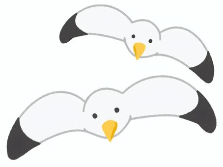 Illustration, seagull, bird, seabirds, 