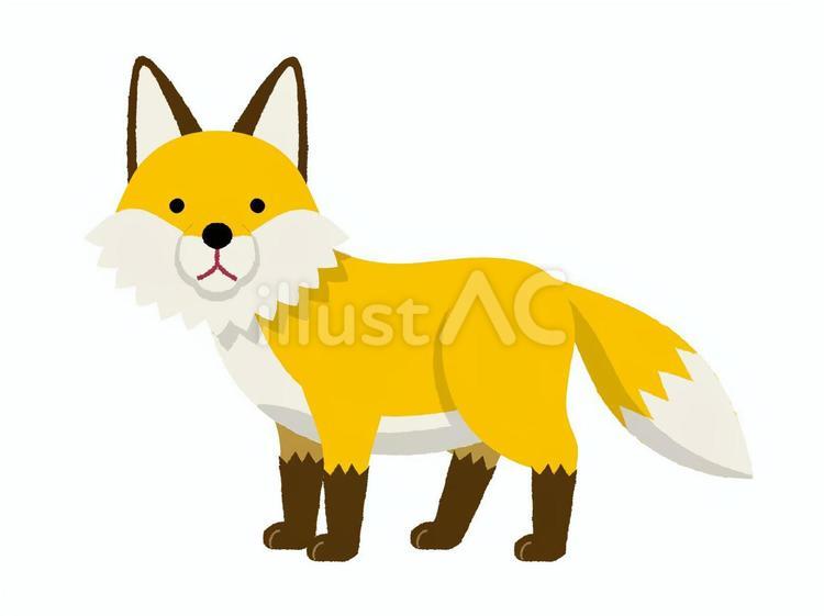 きつね　こちらを向いているきつね きつね,お稲荷さん,童話のイラスト素材