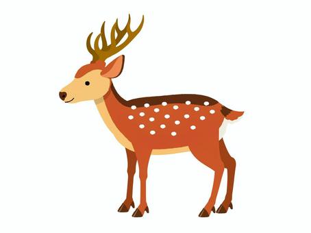 シカ オス シカ オス 鹿,雄,ツノ,奈良,公園,山,森,猟,ベクター,イラストのイラスト素材