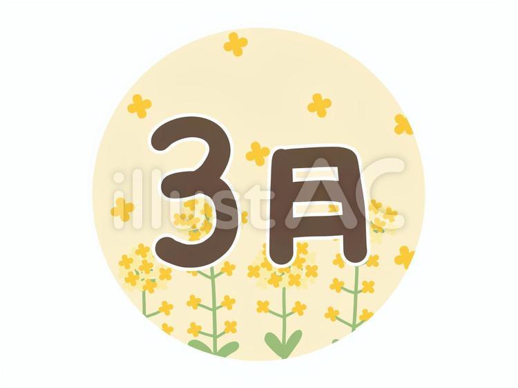 菜の花畑と３月の文字 ３月,菜の花,カレンダーのイラスト素材