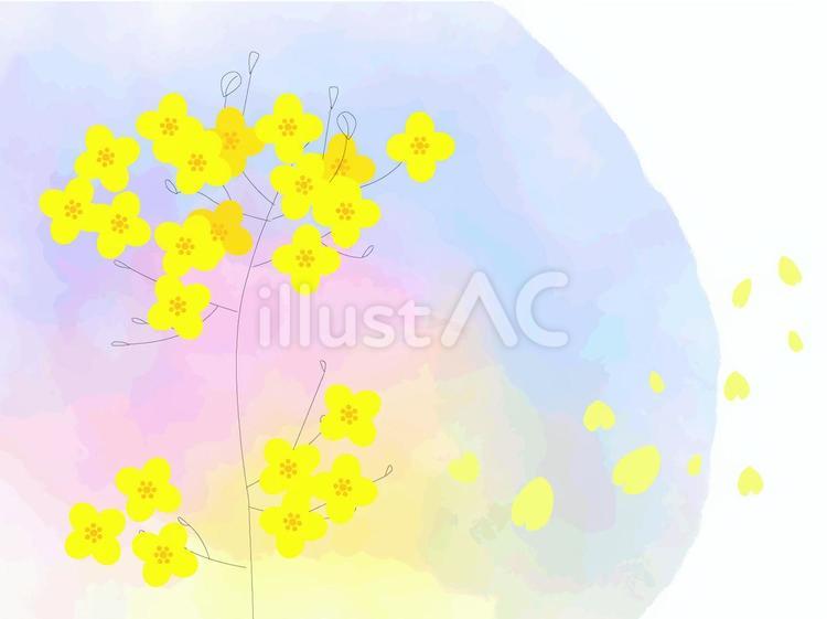 やさしげな背景76＿春「菜の花」 花,春,菜の花のイラスト素材