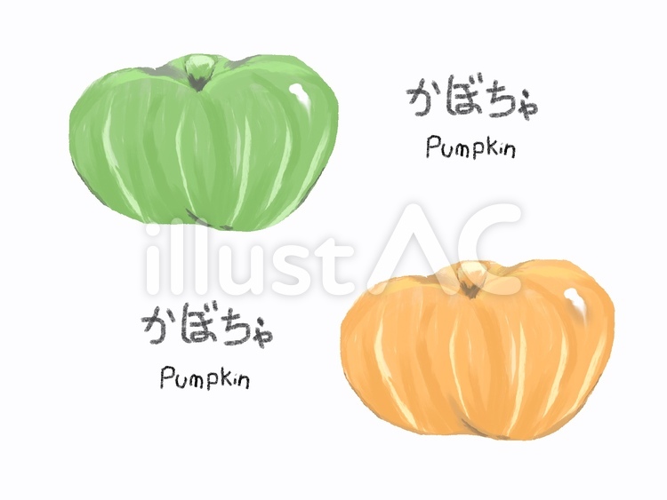 かぼちゃ かぼちゃ,緑,橙のイラスト素材
