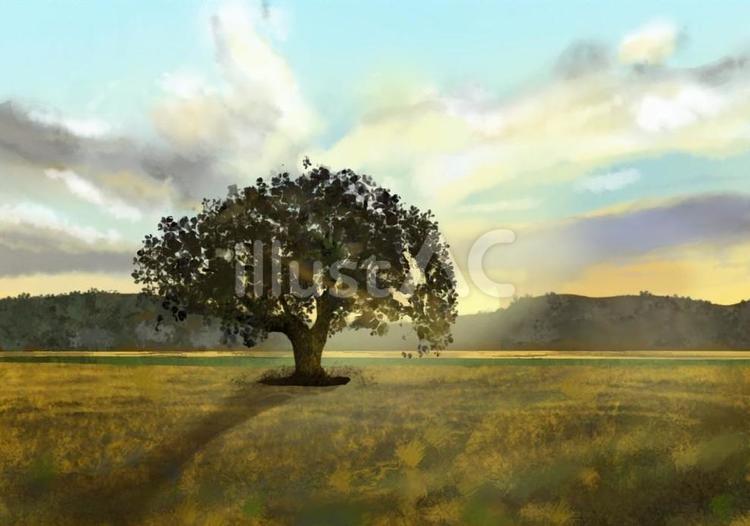 夕暮れの草原に立つ一本の木 夕暮れ,草原,木のイラスト素材