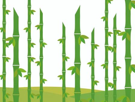 bamboo bamboo