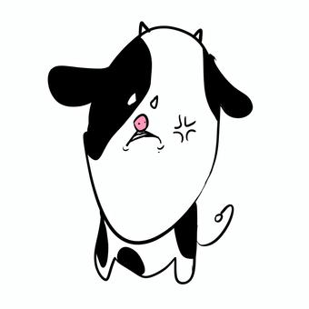 怒り顔の牛