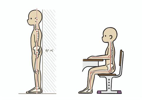 理想的な起立姿勢と着席姿勢 姿勢,起立,直立,着席,着席姿勢,起立姿勢,健康,呼吸,成長,セットのイラスト素材