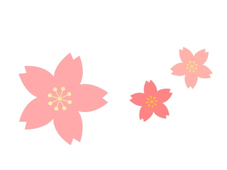 Cherry Blossoms, JPG Cherry Blossoms, sakura, cherry blossoms, tiny, JPG
