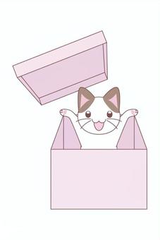 箱をあけてジャーンと出る猫ちゃんのカード 猫,箱,飛び出る,かわいい,デフォルメ,はがきのイラスト素材