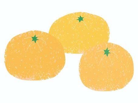みかん みかん,シンプル,オレンジ色,果物,冬,柑橘類,食,農のイラスト素材
