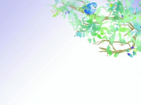 Illustration, birdie, wood, landscape, 