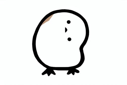 首をかしげるシマエナガ　No.2 シマエナガ,鳥,小鳥,白,まるまる,ふわふわ,首,かしげる,頭,正面のイラスト素材
