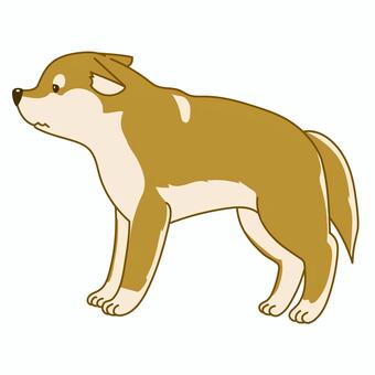 かわいい柴犬のシンプルイラスト怯える 犬,ペット,柴犬,手描き,横向,かわいい,アクション,アニマル,挿絵,カット絵のイラスト素材