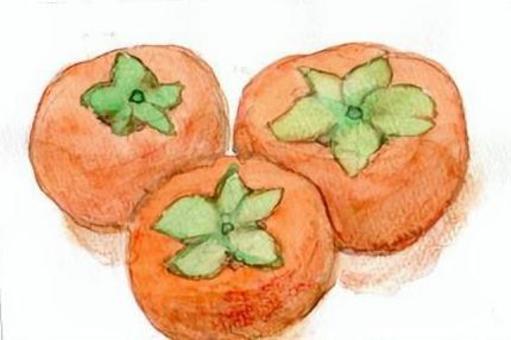 柿3個 手描き,水彩画,柿,秋,オレンジ色,3個のイラスト素材