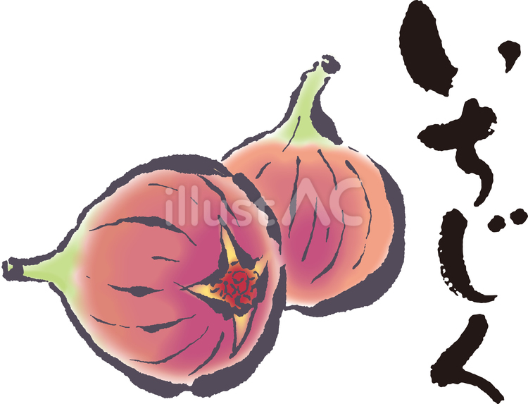 いちじく文字イラストセット いちじく,手描き,筆文字のイラスト素材