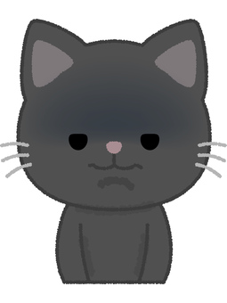 黒猫無表情 黒猫,無表情,真顔,真剣,つまらない,ネコ,キャット,動物,黒,ペットのイラスト素材