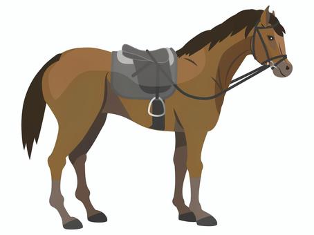 馬具をつけている馬 馬具をつけている馬 馬装,馬具,鞍,頭絡,ゼッケン,腹帯,ゲルパッド,馬,動物,鹿毛のイラスト素材