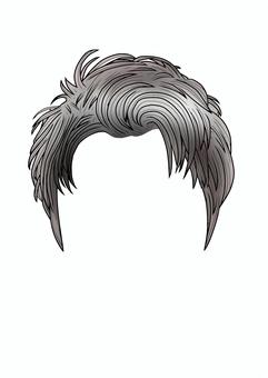 カツラ10 カツラ,髪型,髪,ヘアスタイル,頭部,頭,付け足し,メンズ,男性のイラスト素材