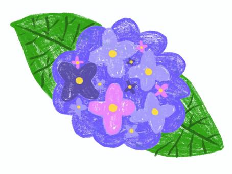 手書き風の紫陽花のイラスト 紫陽花,手書き風,花,梅雨,葉,色鉛筆のイラスト素材