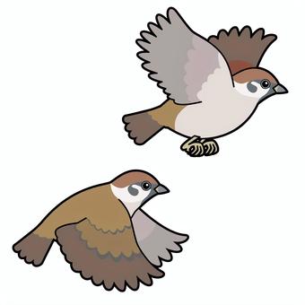 はばたくスズメ_輪郭あり すずめ,スズメ,雀,小鳥,鳥,野鳥,飛翔,はばたき,小動物,さえずりのイラスト素材