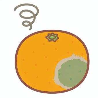 カビが生えたみかん カビが生えたみかん みかん,腐る,カビ,果物,皮,一個,丸ごとのイラスト素材
