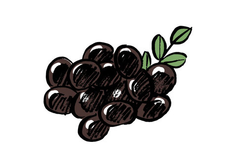 黒豆のイラスト おせち,黒豆,料理,お正月,おせち料理,正月料理,伝統,定番,日本,黒まめのイラスト素材