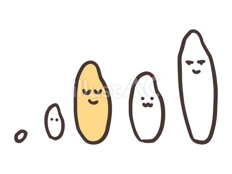 いろんな種類のお米のゆるい手書きイラスト 米,お米,ご飯のイラスト素材