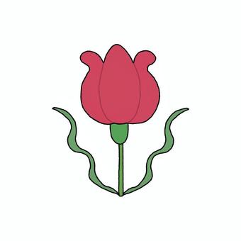 チューリップ (red) チューリップ,花,赤,赤い花,植物,可愛い,素材のイラスト素材