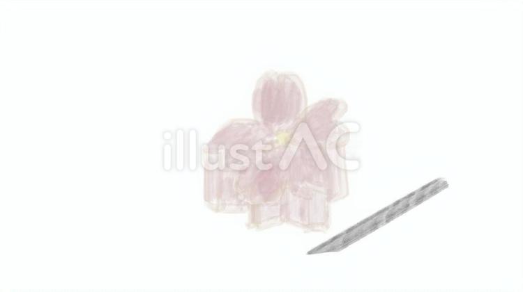 さくらの練り切り　水彩画 食べ物,和菓子,水彩画のイラスト素材