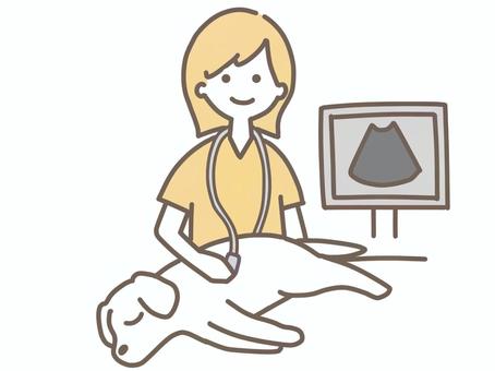犬のエコー検査を行う女性獣医師 犬のエコー検査を行う女性獣医師 犬,ペット,動物,動物病院,獣医,女性,獣医師,健康診断,治療,医療のイラスト素材