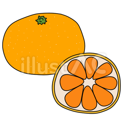 みかんと輪切りみかん