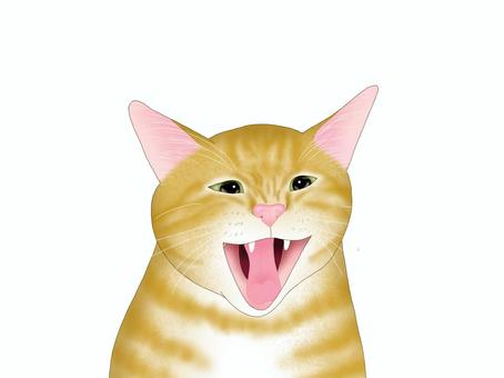 力いっぱい鳴く猫 力いっぱい鳴く猫 猫,子猫,かわいい,手書き,茶トラ,鳴く,力いっぱい,精一杯のイラスト素材