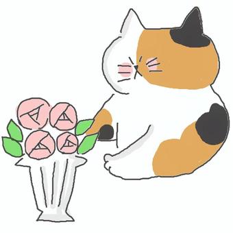 お花を飾る三毛猫ちゃん♪ かわいい,お花,フラワー,アレンジメント,フラワーアレンジ,飾る,綺麗,美しい,花瓶,葉のイラスト素材