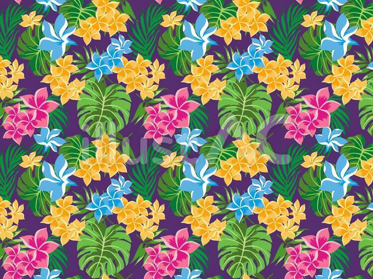 Tropic_Botanic トロピカル,ボタニカル,花のイラスト素材
