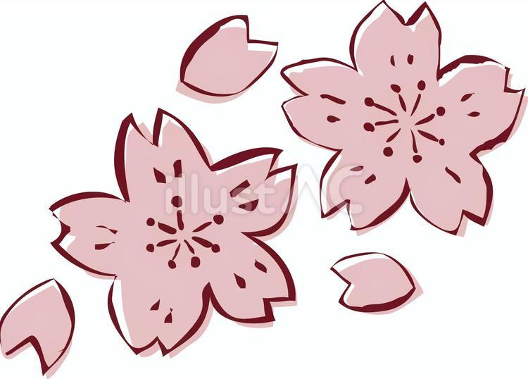 切り絵風桜のカットイラスト 桜,お花見,挿絵のイラスト素材