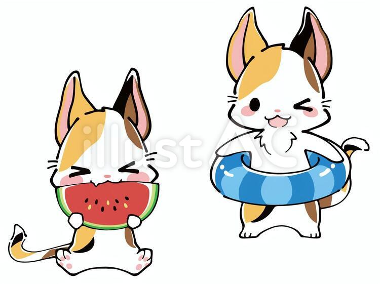 三毛猫　夏イラスト(浮き輪＆スイカ) スイカ,夏,浮き輪のイラスト素材