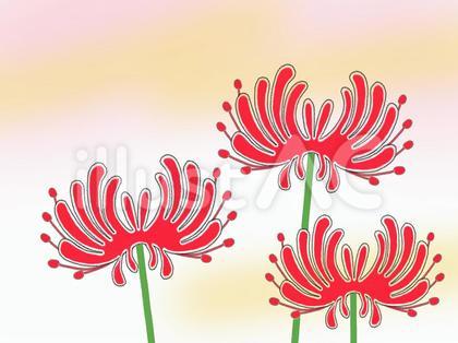 彼岸花