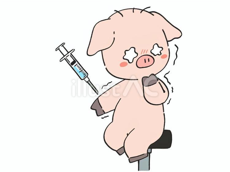 注射に怯えて目を逸らすブタ 注射,予防接種,病院のイラスト素材