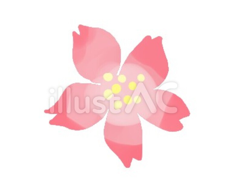 さくら 桜,サクラ,花のイラスト素材
