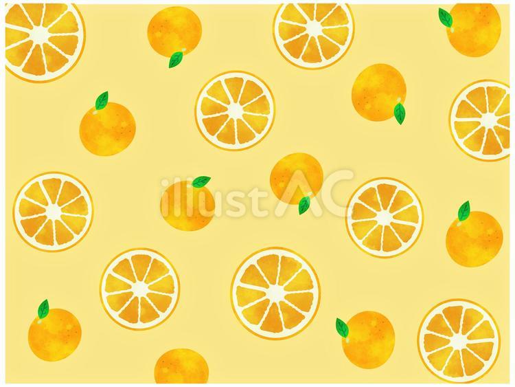 手描きイラスト◆みかん様用頁◆ 解説】🍊冬の絵手紙『みかん』11月、12月、1月 描き方解説 果物