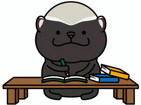 ラーテルさん 勉強 ラーテルさん 勉強 宿題,勉強,ラーテル,机,本,ノート,教科書,鉛筆,動物,キャラクターのイラスト素材