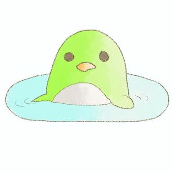 こちらを見つめるペンギン ペンギン,生き物,水,水彩,緑色,鉛筆のイラスト素材