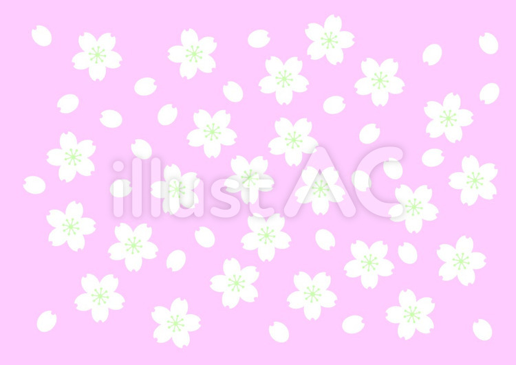 さくら07 桜,花,和柄のイラスト素材